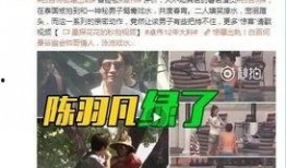 老陈爆料黄昌辉视频全集,老陈爆料视频全集深度解析