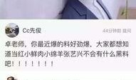 卓伟爆料成龙视频大全,成龙视频大全背后的惊人真相