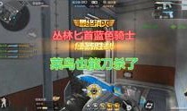 觉醒大熊爆料视频大全集,揭秘视频大全集背后的震撼故事