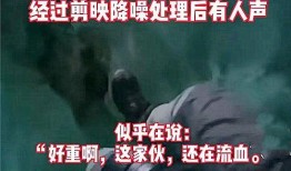 哈尔滨五一爆料事件视频,真相与争议交织的五一假期